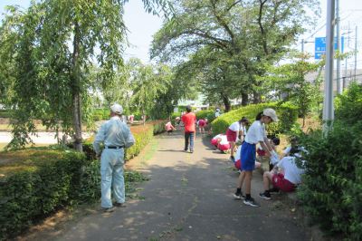 下沼公園清掃活動の画像です。