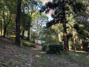 ゆすらうめ公園の園路の画像