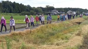 あぜ道を歩く