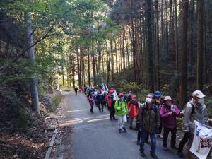 山の坂道を上る