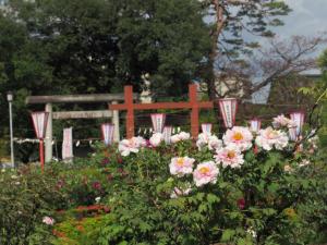 箭弓稲荷神社ぼたん園写真②