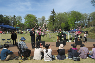 東松山ぼたん園花絵巻の画像です。