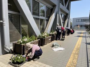第128回前庭プランター植え込みの様子。