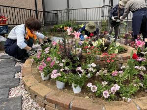 第130回植え込みの様子。
