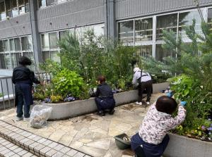第133回作業の様子。（前庭）