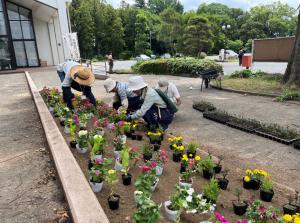 第135回大花壇作業の様子。