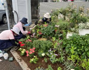 第138回花壇植え込み中。