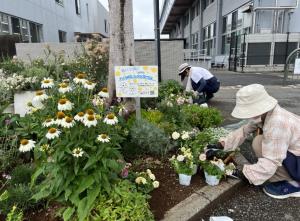 第138回植え込み中。