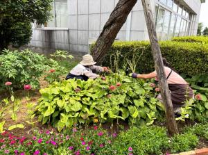 唐子市民活動センター花壇