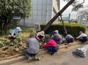 唐子市民活動センター花壇