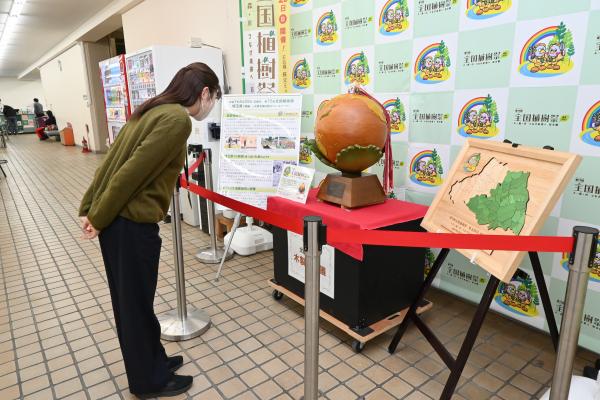 展示の様子