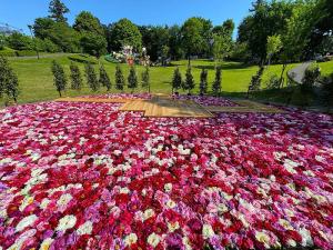 東松山ぼたん園 巨大花手水