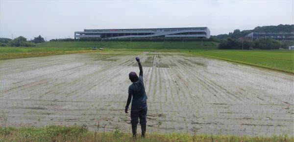 田植え後の写真